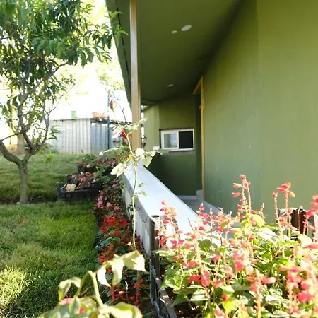 Hotel Forest Blue 3*