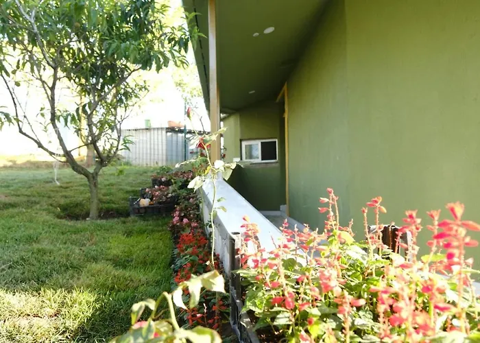 Hotel Forest Blue 3*