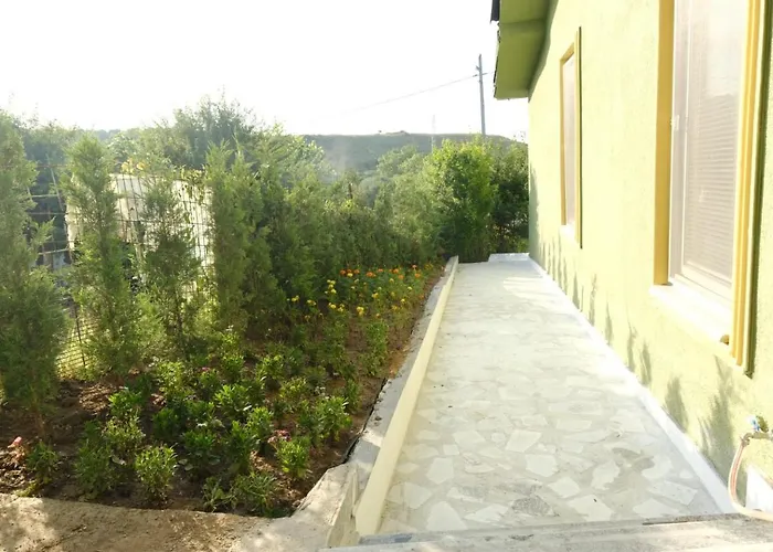 Hotel Forest Blue 3*