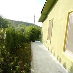 Forest Blue Hotel